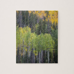 Provo River and aspen trees Jigsaw Puzzle