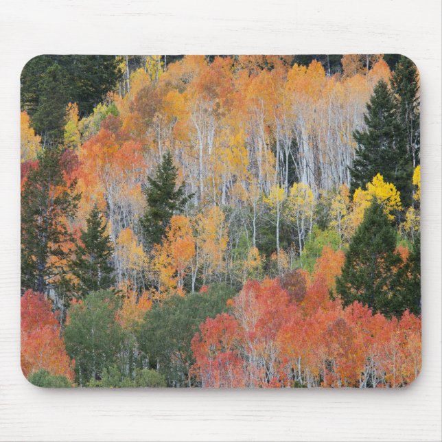 Provo River and aspen trees Mouse Pad (Front)