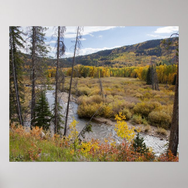 Provo River and aspen trees Poster (Front)