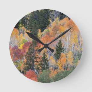 Provo River and aspen trees Round Clock