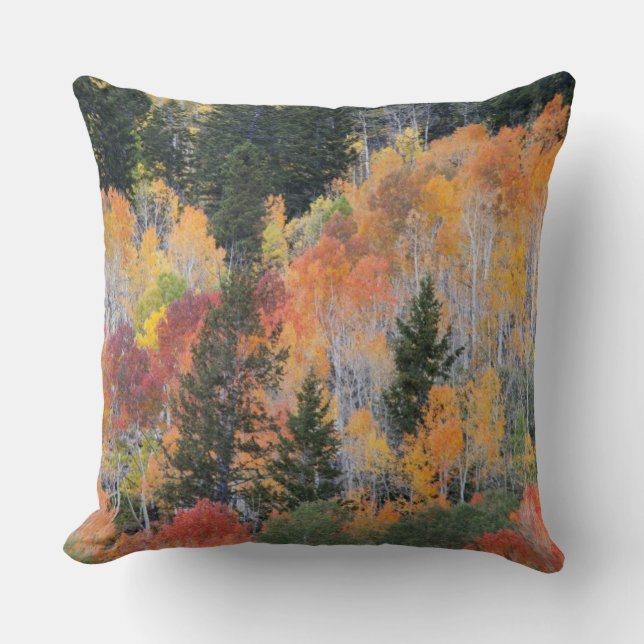 Provo River and aspen trees Throw Pillow (Front)