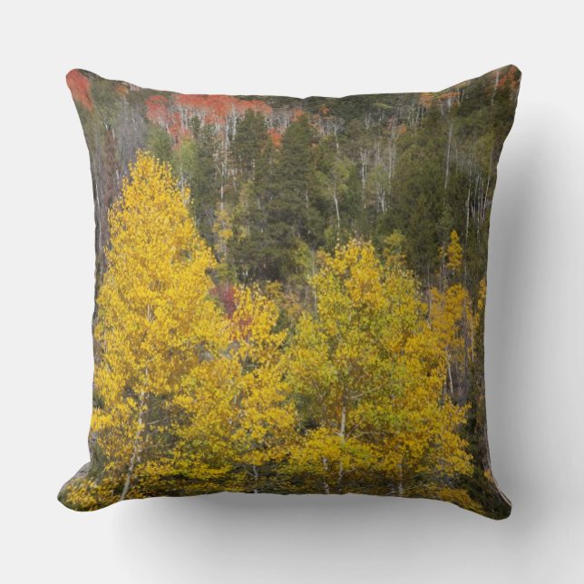 Provo River and aspen trees Throw Pillow (Front)