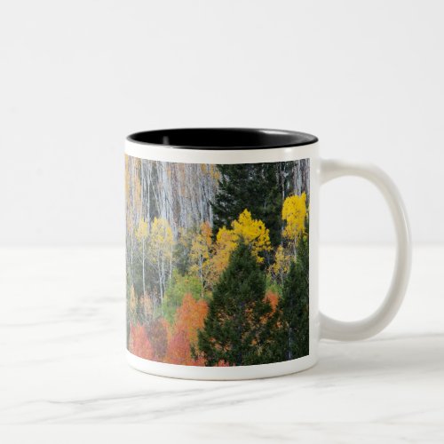 Provo River and aspen trees Two_Tone Coffee Mug