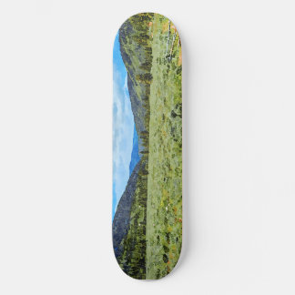 Provo River Valley in Uinta Mountains Skateboard