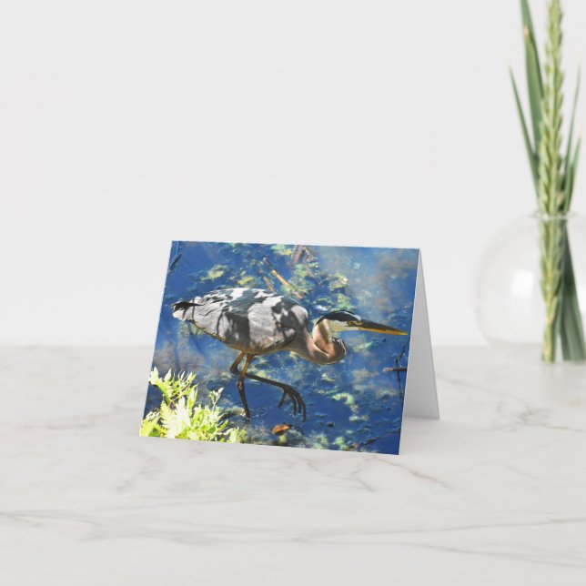 Prowl (Great Blue Heron #3) - Blank Note Card (Front)