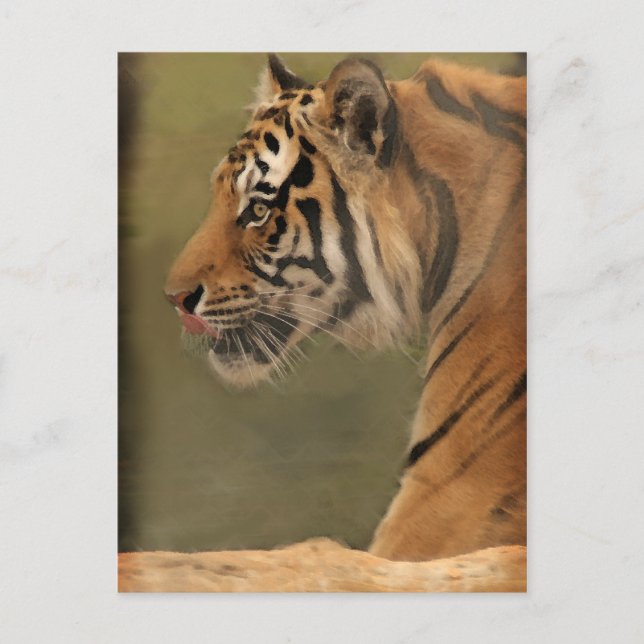 prowl postcard (Front)