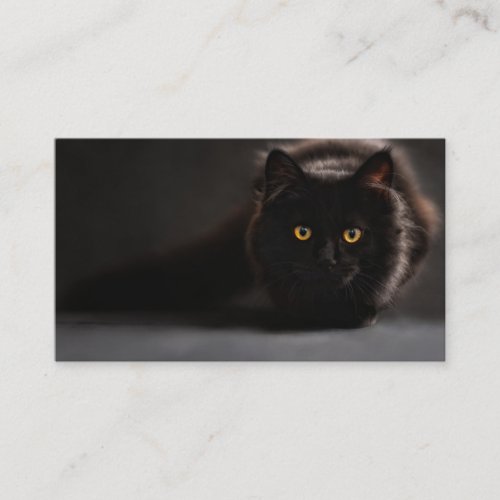 Prowling Black Cat Business Card