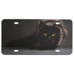 Prowling Black Cat License Plate at Zazzle