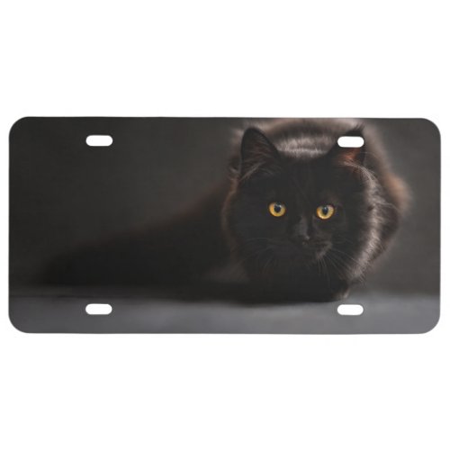 Prowling Black Cat License Plate