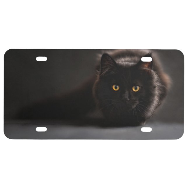 Prowling Black Cat License Plate (Front)