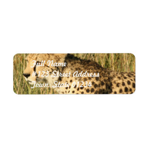 Prowling Cheetah Mailing Label