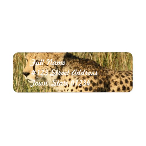 Prowling Cheetah Mailing Label