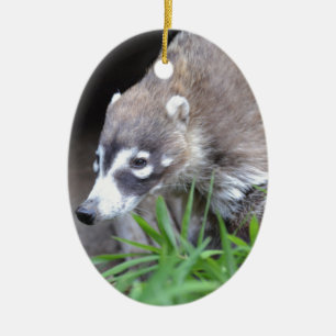 Prowling Coati Ceramic Ornament