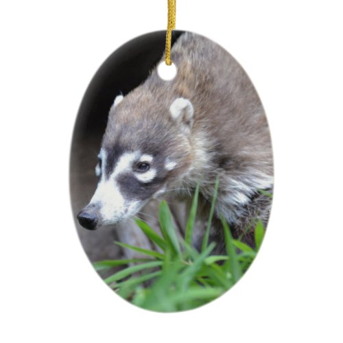 Prowling Coati Ceramic Ornament