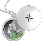 Prowling Coati Silver Plated Necklace