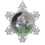 Prowling Coati Snowflake Pewter Christmas Ornament