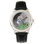 Prowling Coati Watch