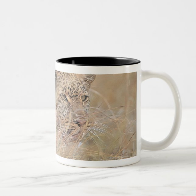 Prowling Leopard Hiding in Grassland Two-Tone Coffee Mug (Right)