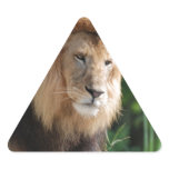 Prowling Lion Triangle Sticker