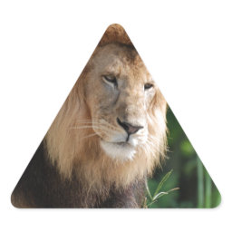 Prowling Lion Triangle Sticker