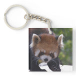 Prowling Red Panda Keychain