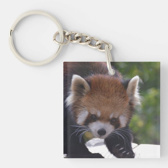 Prowling Red Panda Keychain (Front)