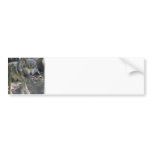 Prowling Wolf Bumper Stickers