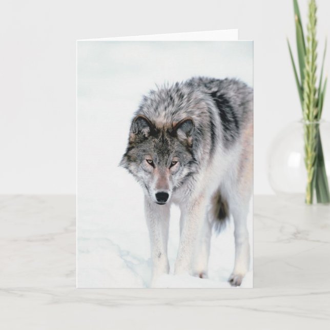 Prowling Wolf Card (Front)