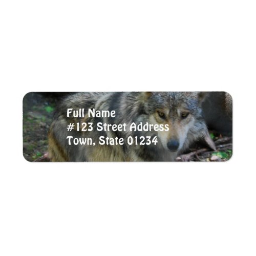 Prowling Wolf  Mailing Labels