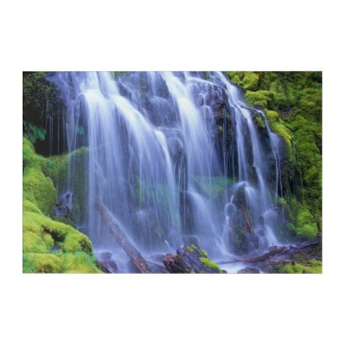 Proxy Falls in Oregons Central Cascade Mountains Acrylic Print
