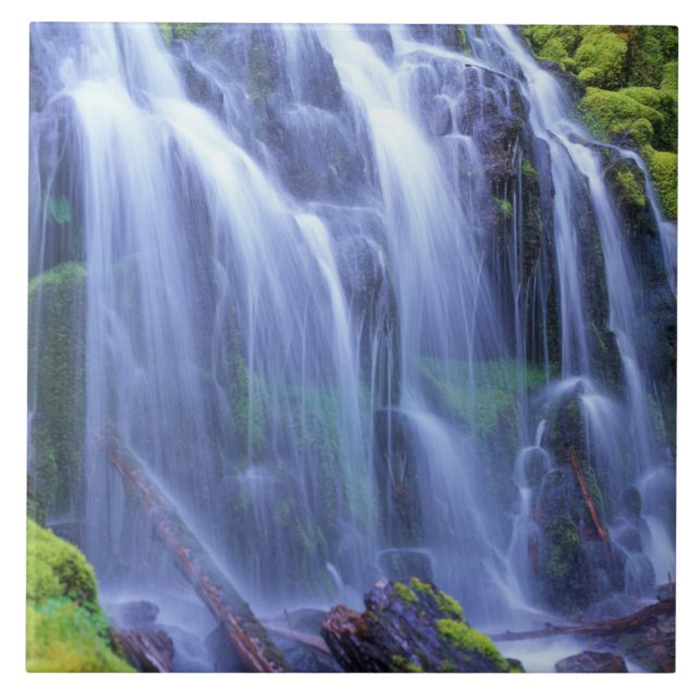 Proxy Falls in Oregon's Central Cascade Mountains Ceramic Tile (Front)