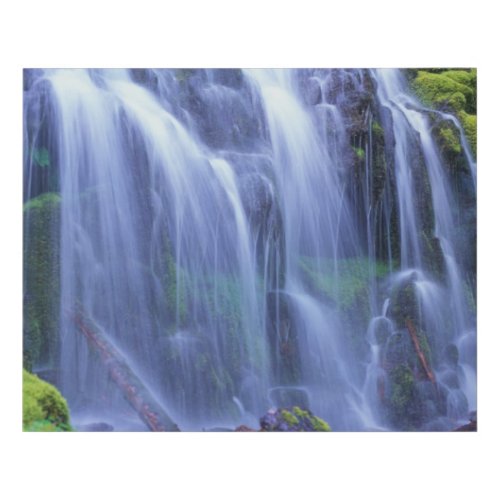 Proxy Falls in Oregons Central Cascade Mountains Faux Canvas Print