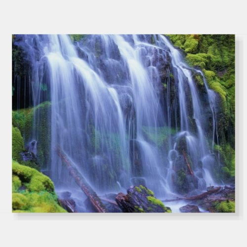 Proxy Falls in Oregons Central Cascade Mountains Foam Board