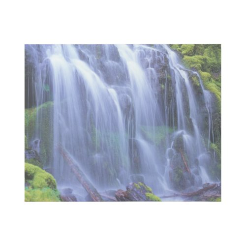 Proxy Falls in Oregons Central Cascade Mountains Gallery Wrap