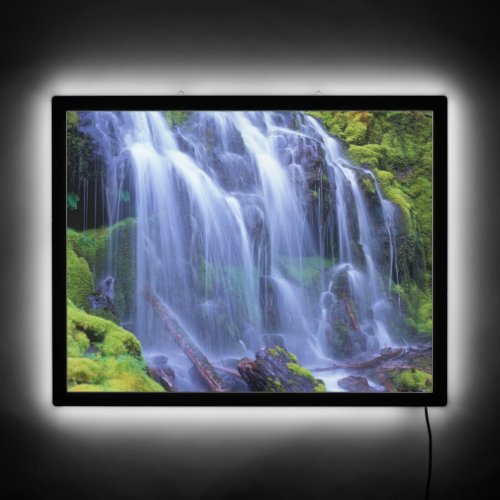 Proxy Falls in Oregons Central Cascade Mountains LED Sign