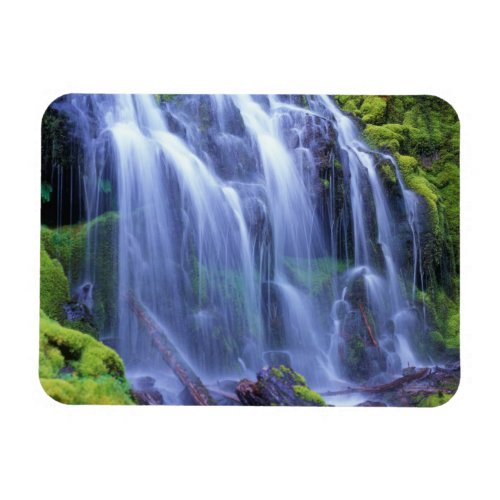 Proxy Falls in Oregons Central Cascade Mountains Magnet