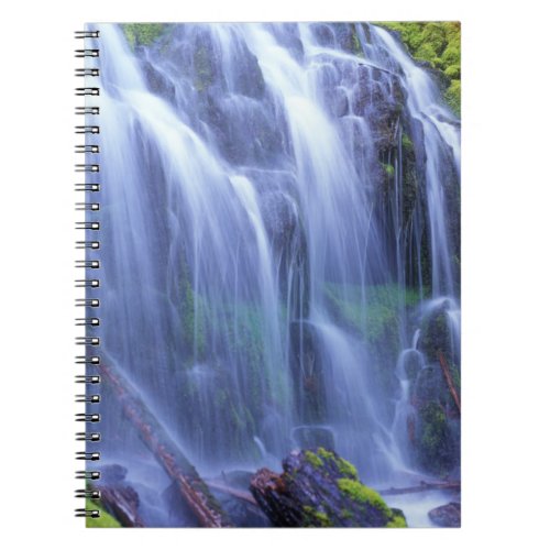 Proxy Falls in Oregons Central Cascade Mountains Notebook
