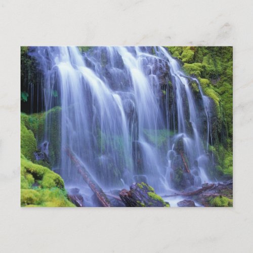 Proxy Falls in Oregons Central Cascade Mountains Postcard