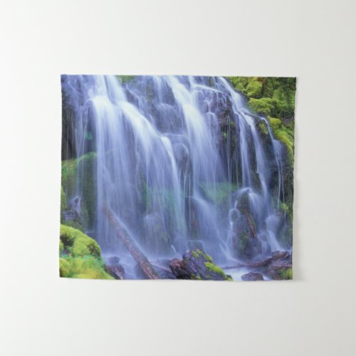 Proxy Falls in Oregons Central Cascade Mountains Tapestry