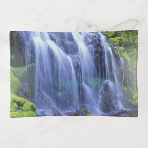 Proxy Falls in Oregons Central Cascade Mountains Trinket Tray
