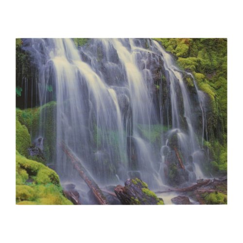 Proxy Falls in Oregons Central Cascade Mountains Wood Wall Art
