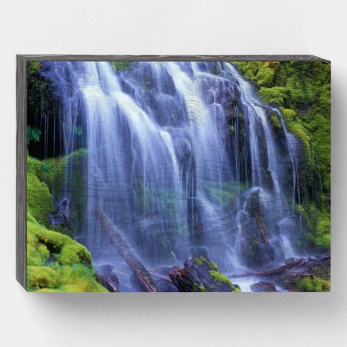 Proxy Falls in Oregons Central Cascade Mountains Wooden Box Sign
