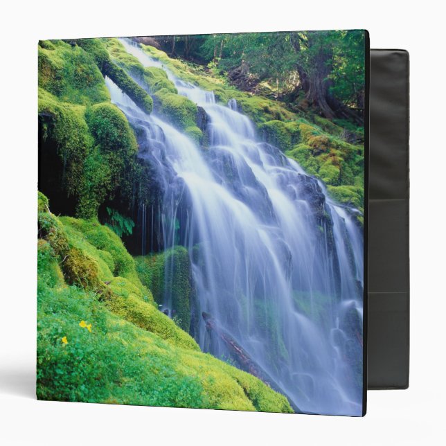 Proxy Falls in the central Oregon Cascades. Binder (Front/Inside)