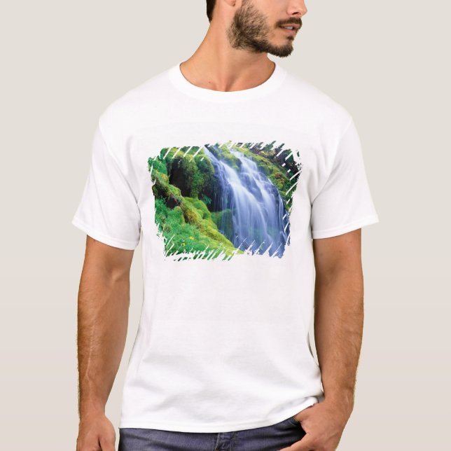 Proxy Falls in the central Oregon Cascades. T-Shirt (Front)