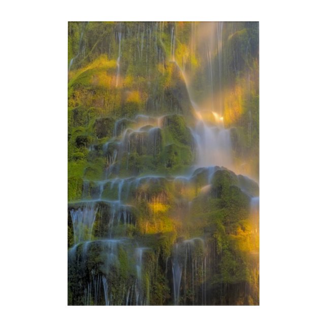 Proxy Falls Three Sisters Wilderness Oregon Acrylic Print (Front)