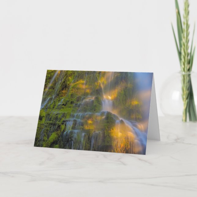 Proxy Falls Three Sisters Wilderness Oregon Card (Front)