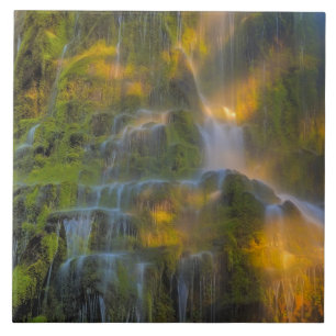 Proxy Falls Three Sisters Wilderness Oregon Ceramic Tile
