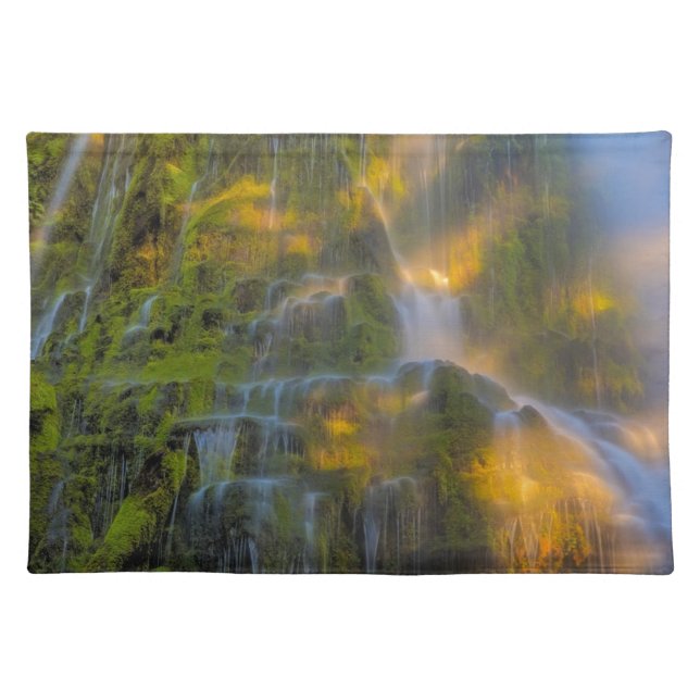 Proxy Falls Three Sisters Wilderness Oregon Cloth Placemat (Front)