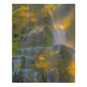 Proxy Falls Three Sisters Wilderness Oregon Faux Canvas Print