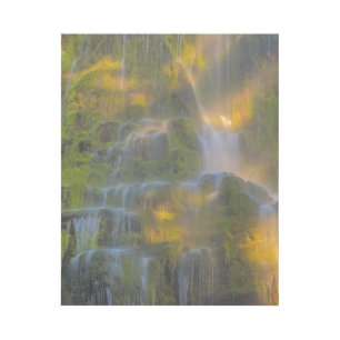 Proxy Falls Three Sisters Wilderness Oregon Gallery Wrap